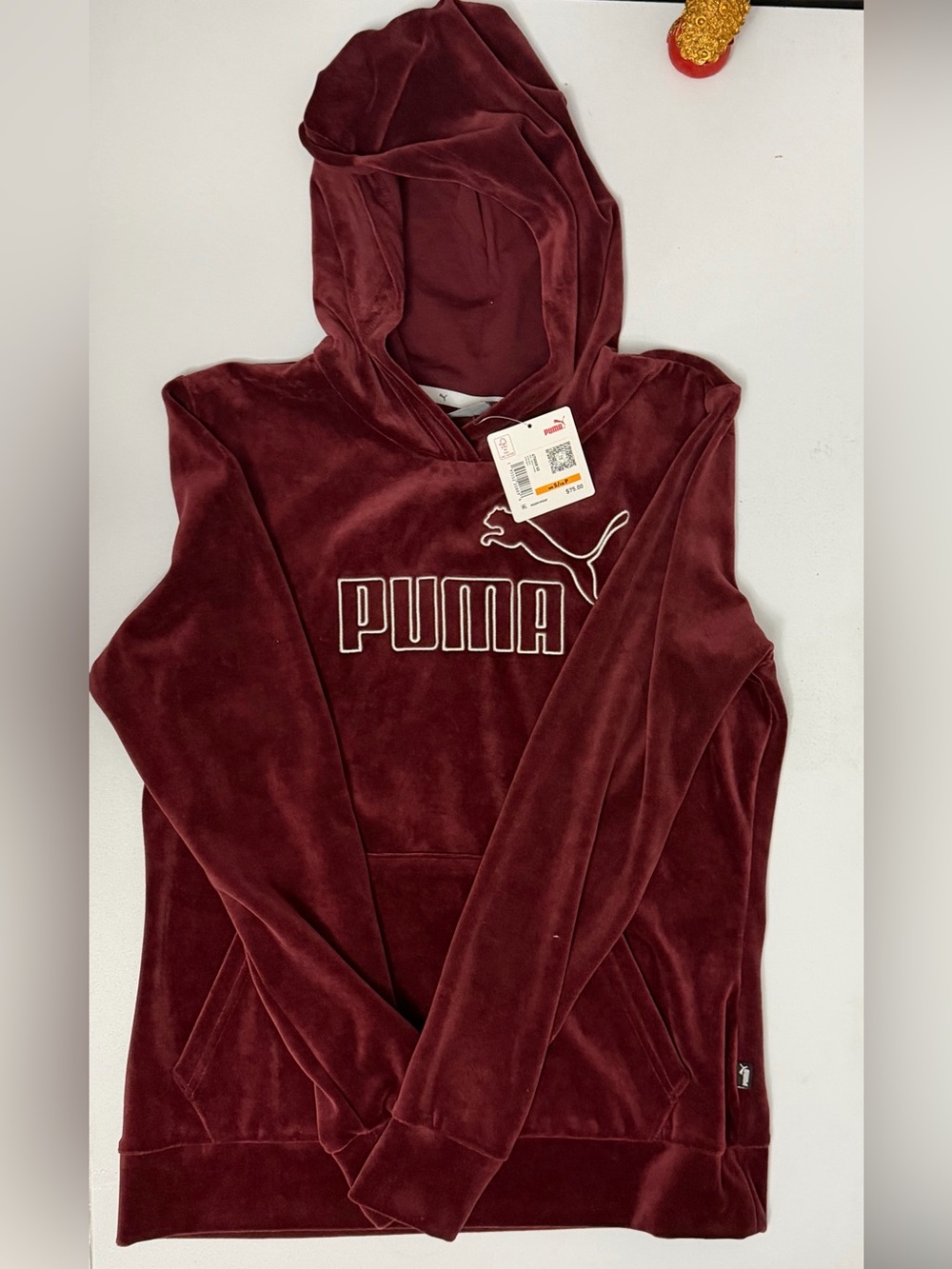 Puma ESS+ Velour Hoodie
